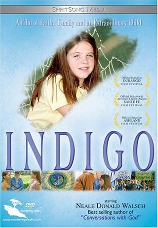 Indigo still 2