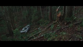 Wrecked still 7