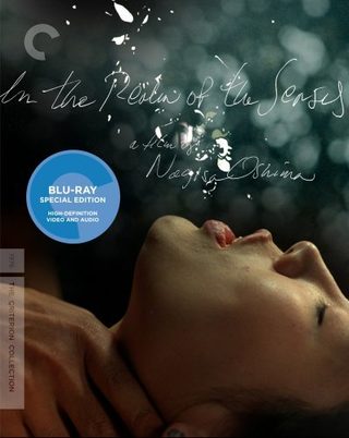 In the Realm of the Senses still 5