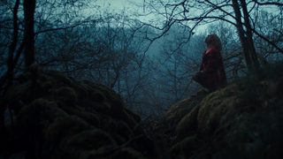 Hunted still 5
