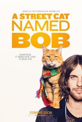 A Street Cat Named Bob still 5