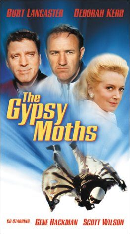 The Gypsy Moths still 2