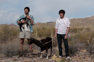 Goats still 3