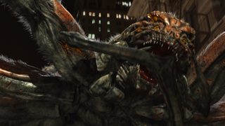 Spiders still 6