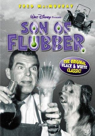 Son of Flubber still 8