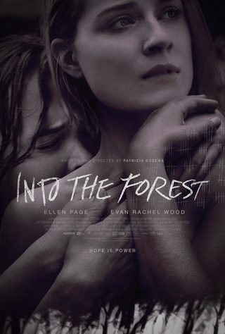 Into the Forest still 1