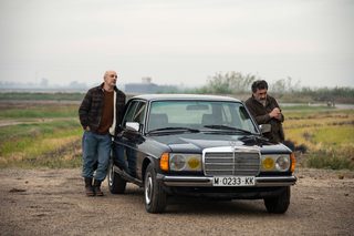 Wetland still 8