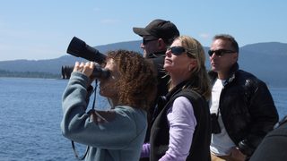 Blackfish still 3