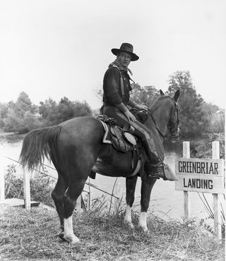 The Horse Soldiers still 4