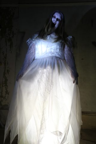 Scare Attraction still 5