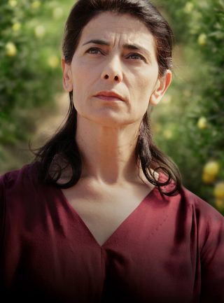 Lemon Tree still 4