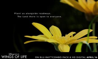 Wings of Life still 5