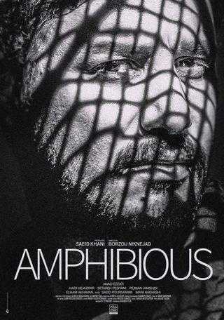 Amphibious still 8