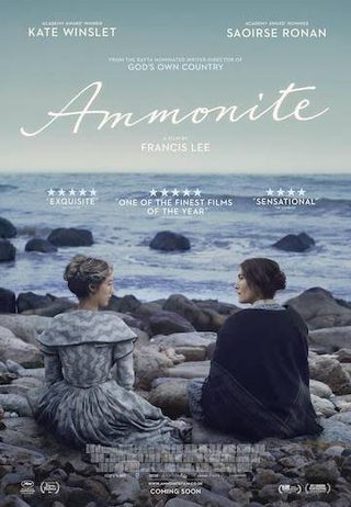 Ammonite still 1