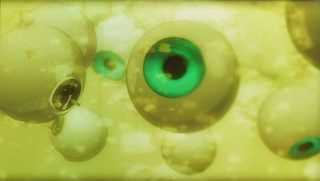 Ghost in the Shell 2: Innocence still 7