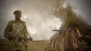 The Ivory Game still 1