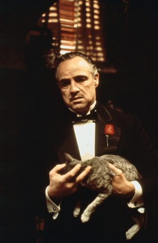 The Godfather still 7