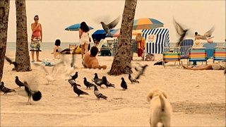 Marley & Me: The Puppy Years still 8