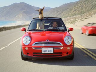 Marmaduke still 4