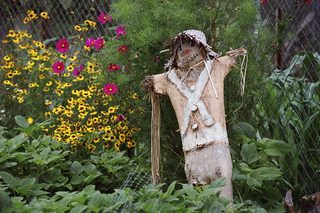 The Garden still 8