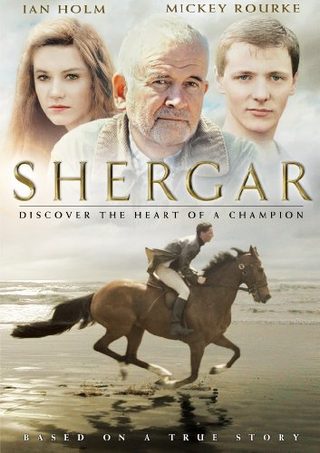 Shergar still 1