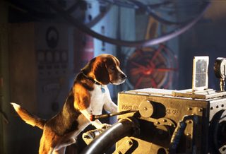 Cats & Dogs still 4