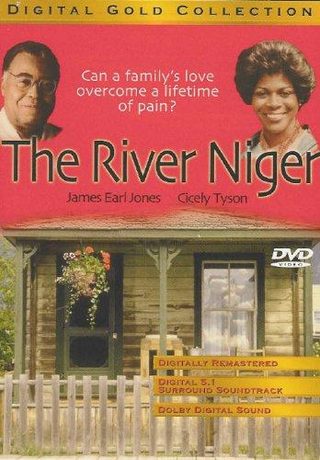 The River Niger still 2