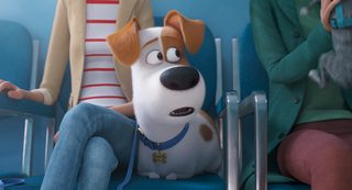 The Secret Life of Pets 2 still 5