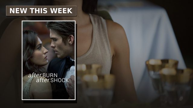 A scene from Afterburn/Aftershock, with its poster
